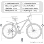 26-inch Hardtail Mountain Bike, 21-Speed Shimano Tourney with Disc Brakes, Steel