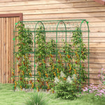 Trellis Adjustable Climbing Aid, Steel Plant Frame with Net, Green