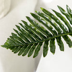 Pot, Houseplant 50 cm, Green