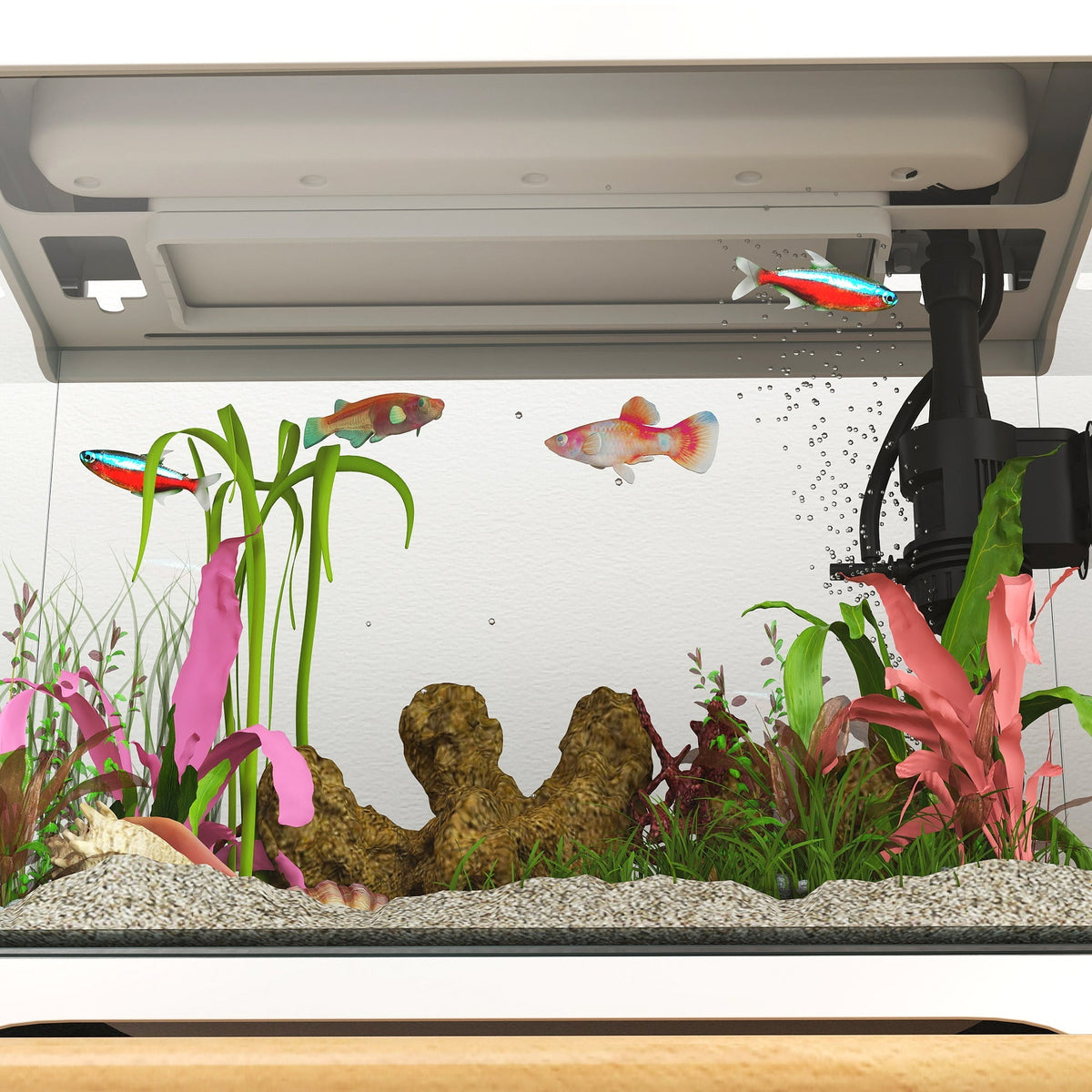 Aquarium, 17L Fish Tank with LED Lighting & Filter System, White