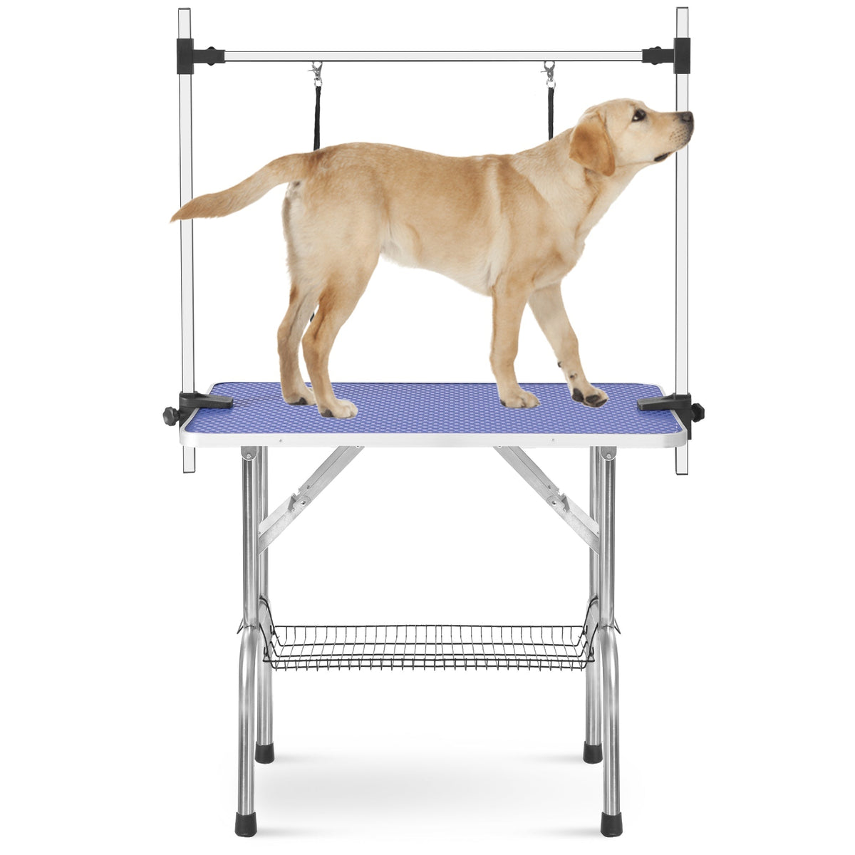 Professional Foldable Dog Grooming Table with Adjustable Arm, Sturdy, 117cm, BLUE