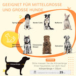 Dog Cage, Pet Crate with Cushion, 2 Locks, Grey