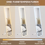 Full Length Mirror, 40x150cm LED Standing Wall, White