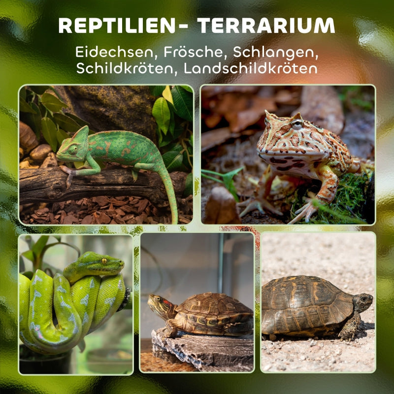 Glass Reptile Terrarium, Raised, Waterproof Base, Button Lock