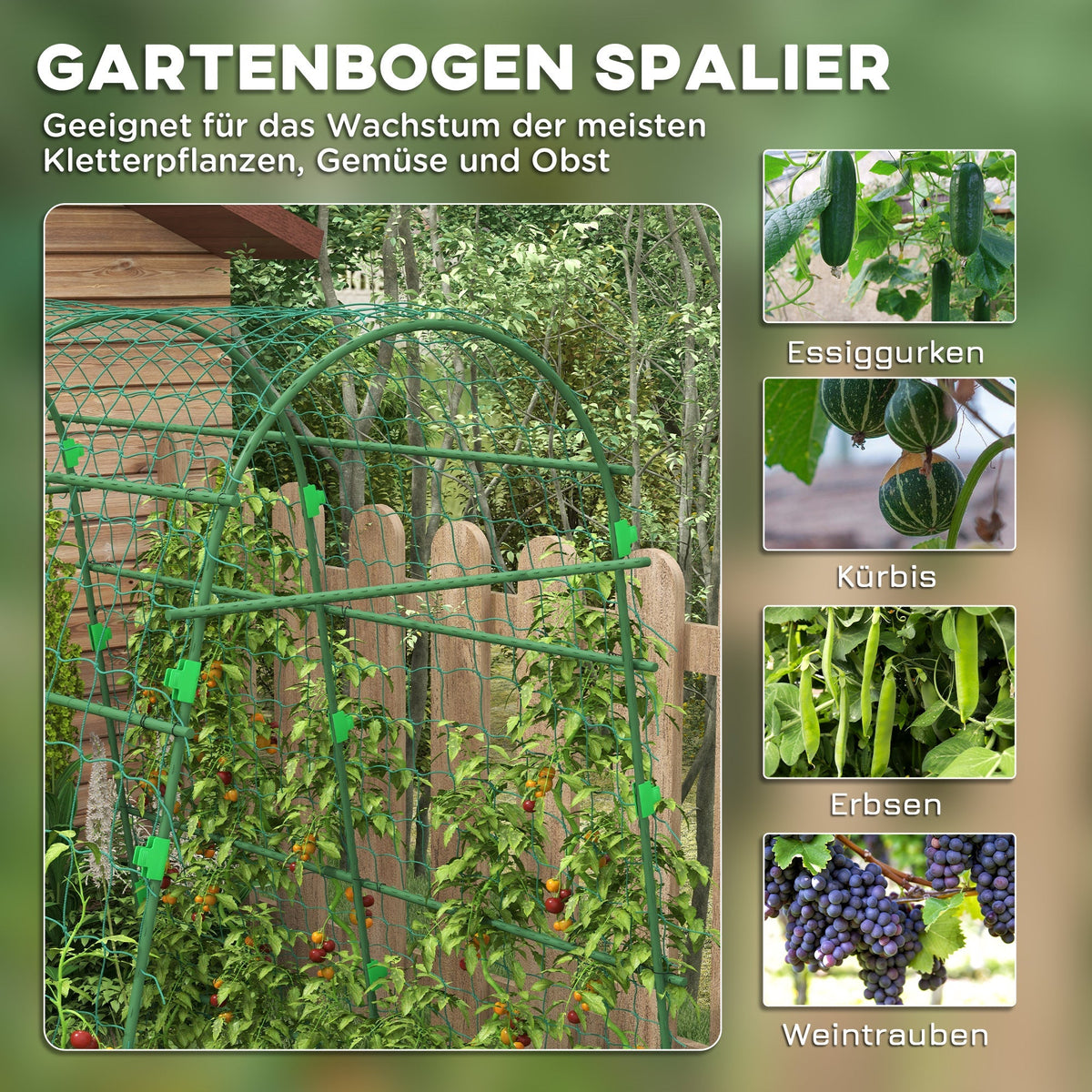 Trellis Adjustable Espalier Plant Frame Net Steel, Green