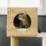Cat Tree, 100.5 cm High, Cat Cave, Bed, Stairs, Sisal, Natural