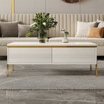 Coffee Table Multifunctional Side Table 100x50x36cm High-Gloss