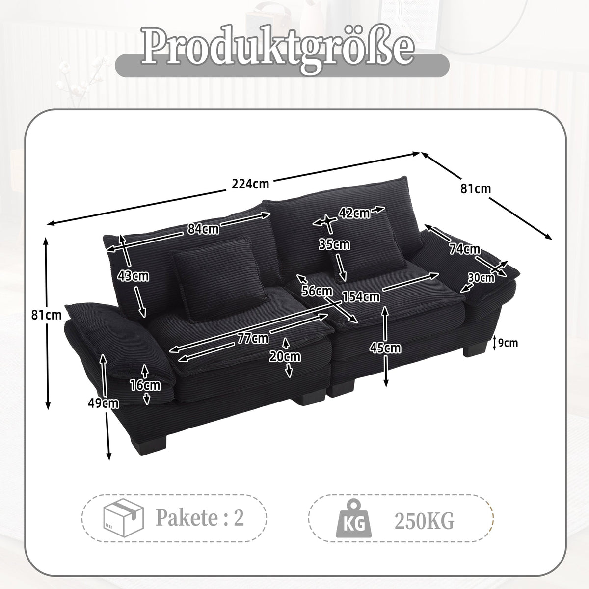 Double Sofa, Modern Simple Feather Bed, Black