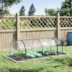 Greenhouse with Door, Cold Frame, Plant Growing, Steel PVC