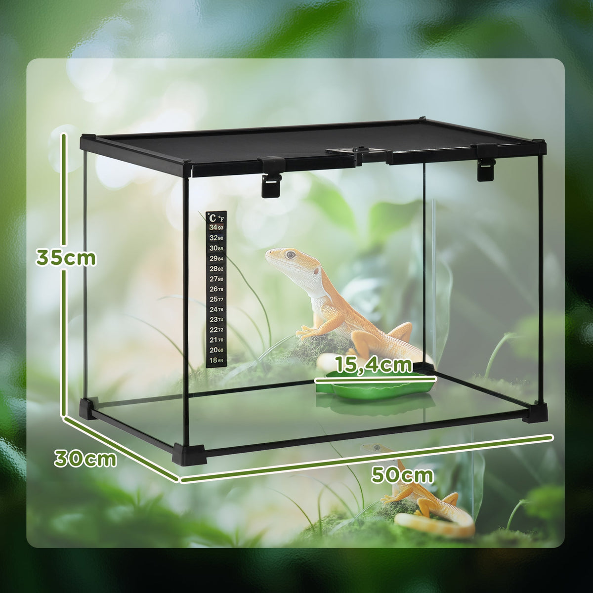 Terrarium, Glass Feeding Box for Reptiles, Metal