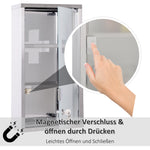 Medicine Cabinet 3 Compartments Home Pharmacy 25x12x48cm Stainless Steel