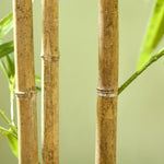 Artificial Bamboo Plant, 180cm with 830 Leaves, Green
