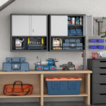 Storage Cabinet with 2 Doors and Adjustable Shelves, Black Metal