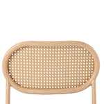 Dining Chairs Set of 4 Rattan Metal Legs Modern Style - Brown
