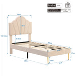 Upholstered Bed with Shell Headboard, Storage Bench and Golden Legs, 90x200cm, Beige Velvet