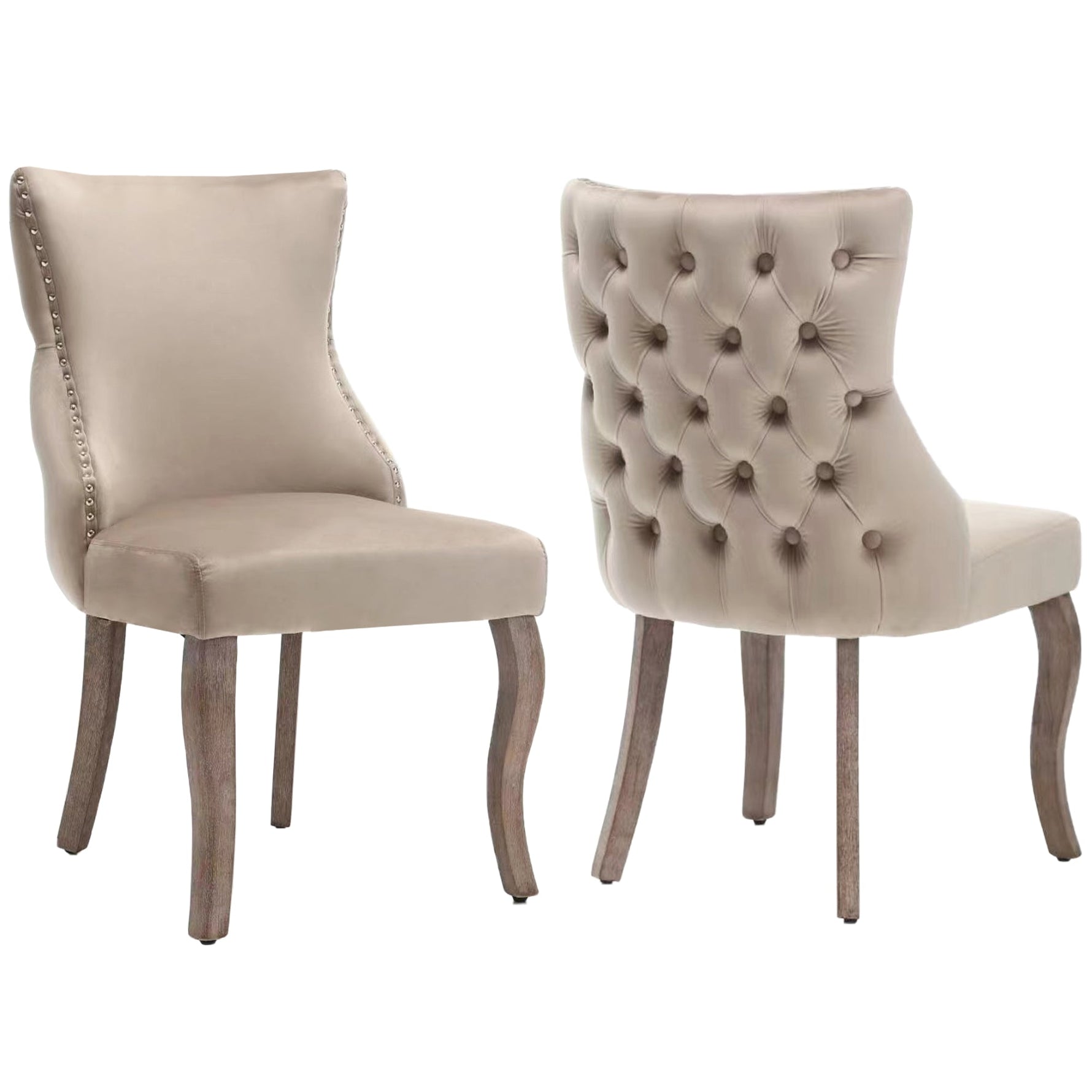 Dining Chair Set of 2 Button Tufted Nailhead Trim Curved Solid Wood Legs, Beige Velvet