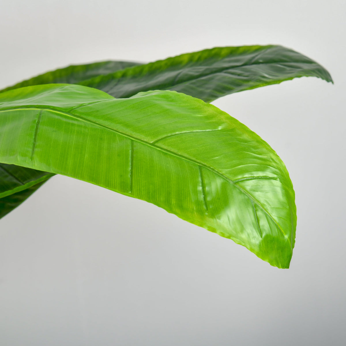 Artificial Banana Tree, 150 cm, Indoor & Outdoor, Plastic