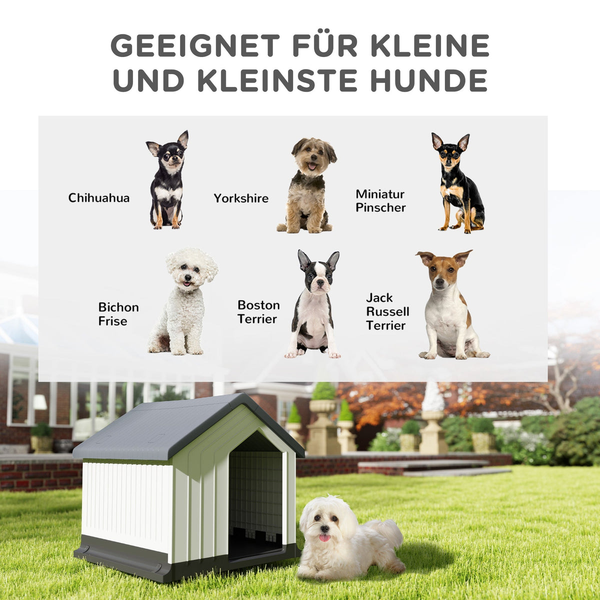 Dog Kennel, Weatherproof Small Animal House, Gray