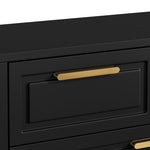 Modern Shoe Cabinet with Adjustable Shelves, Gold Handles, Drawers, Folding Doors, Black