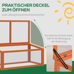 Cold Frame Greenhouse, Weatherproof Wood & Polycarbonate, Orange