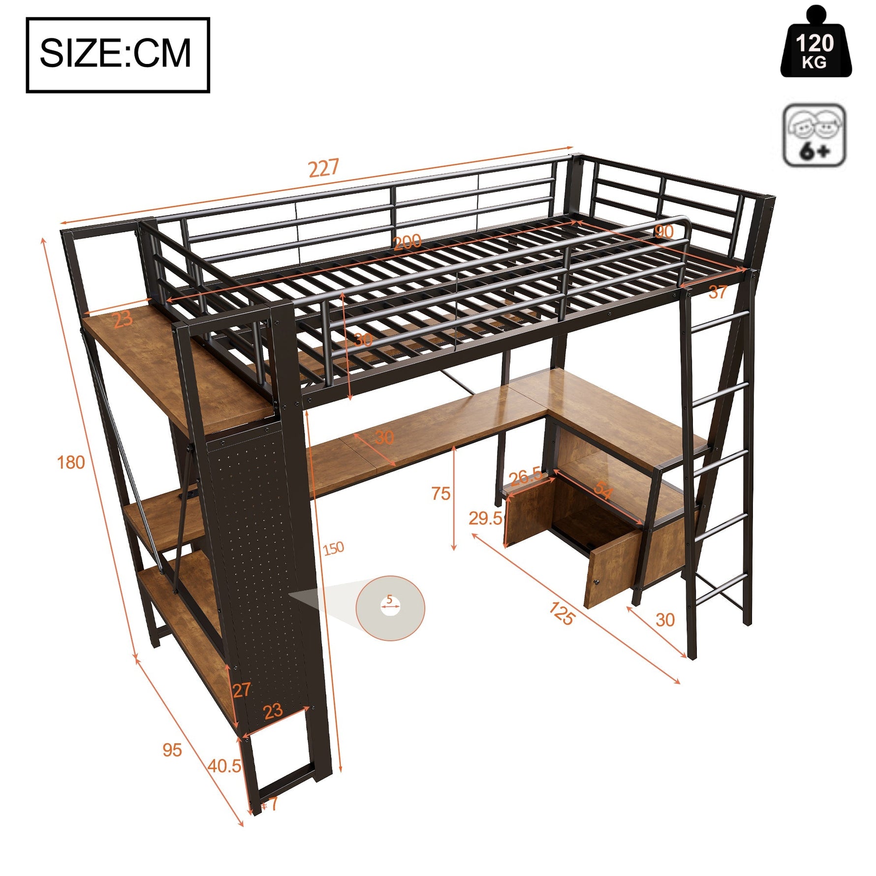 Loft Bed 90x200cm Iron Frame with Desk LED Light Storage Pegboard USB Black