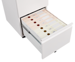 Mobile File Cabinet 2-Drawer with Lock Legal/Letter Size Steel - White