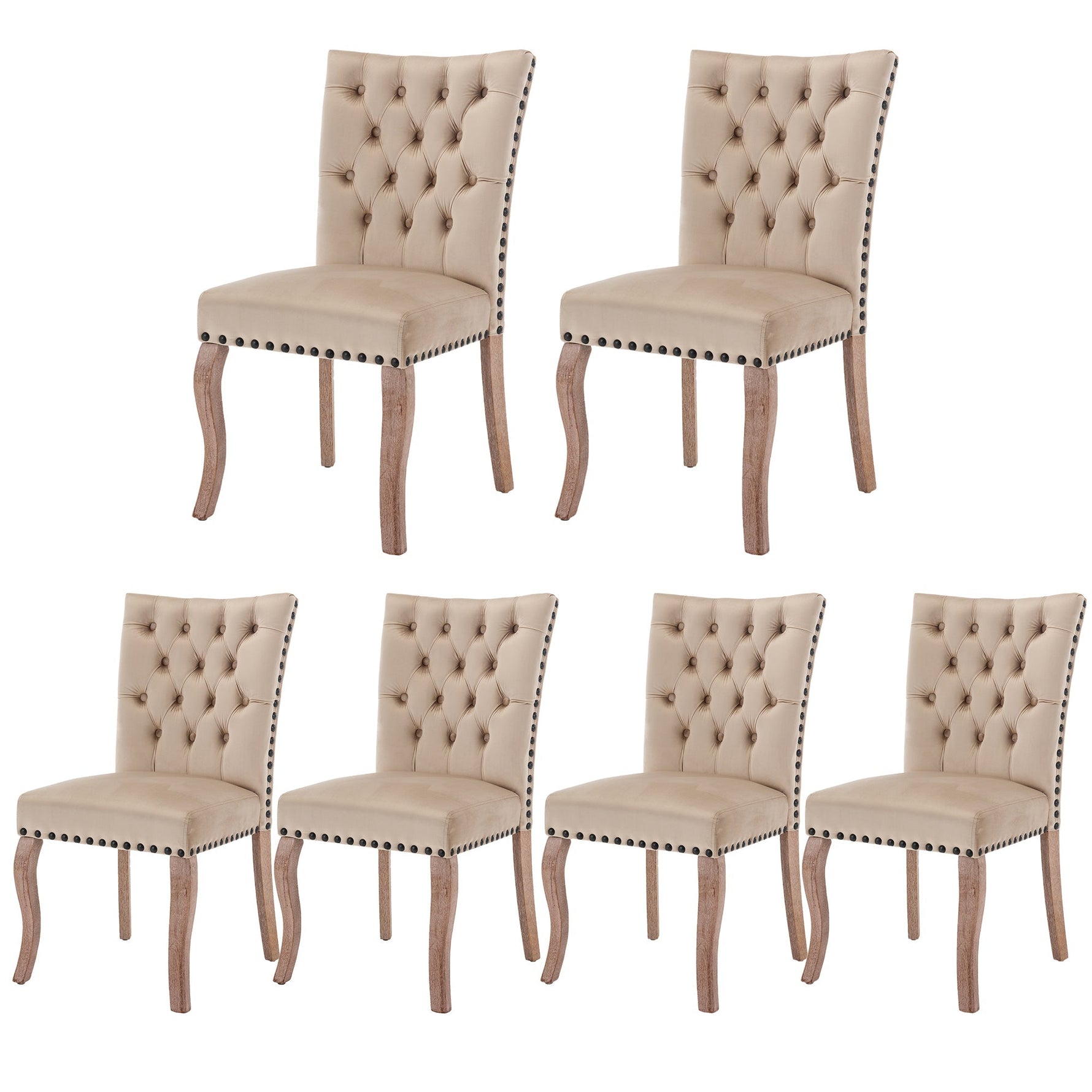Dining Chair (Set of 6) Upholstered Door Knocker Back Nailhead Trim Solid Wood Legs Light Camel Velvet