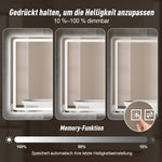 Frameless LED Bathroom Mirror 60x100cm Anti-Fog, Tempered Glass