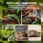 Glass Terrarium, Raised Waterproof Base with Button Lock, for Reptiles
