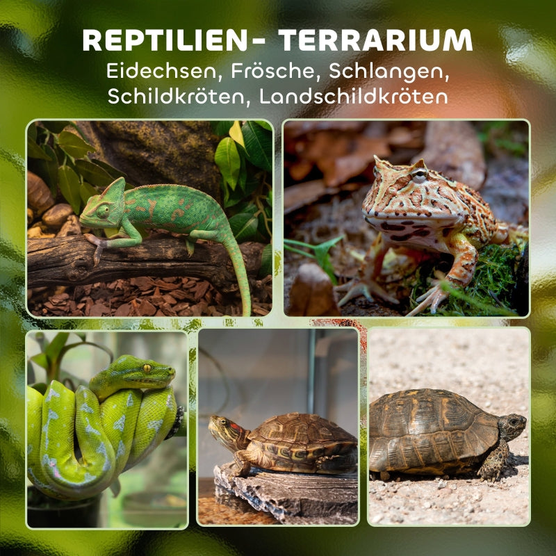 Glass Terrarium, Raised Waterproof Base with Button Lock, for Reptiles