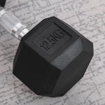 Hexagon Dumbbell, Cast Iron Rubber Handle Knurled 12.5 KG, Black
