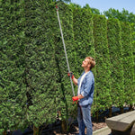 Tree Shears, 1.8m Pruning with Locking Device, Aluminum Handle