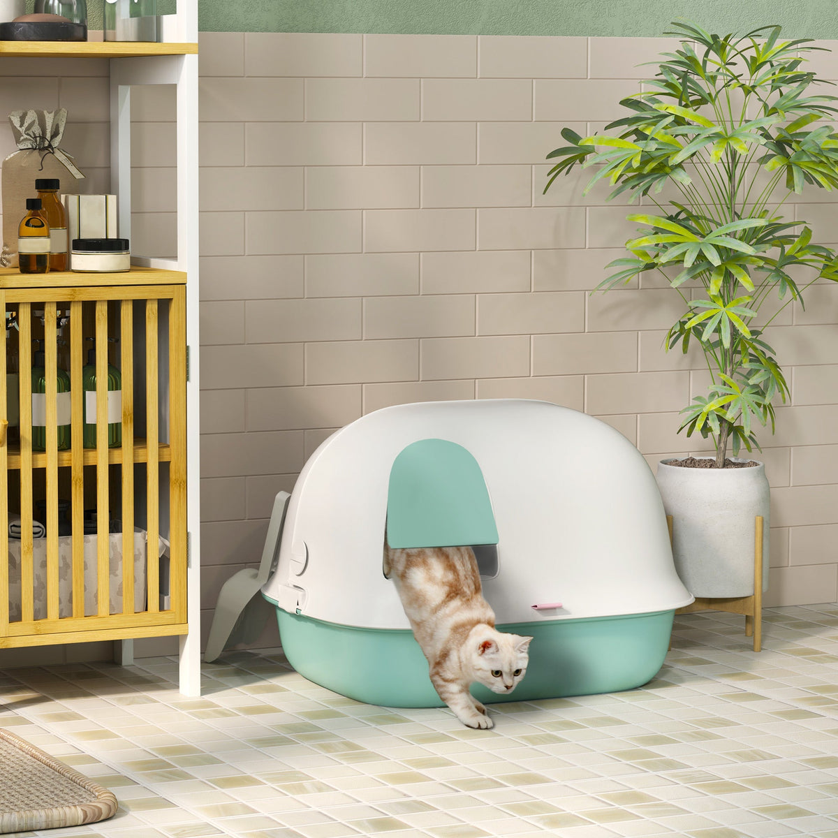 Cat Litter Box, Sieve, Closed, Plastic, Green