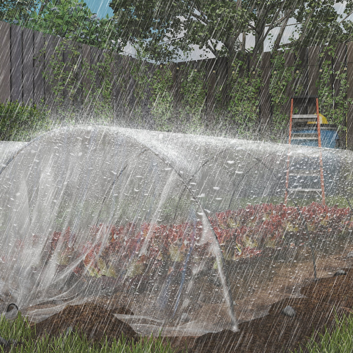 Greenhouse Film, 6x10m Waterproof UV Protection, Transparent Plastic