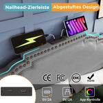 Upholstered Bed 180x200, Double Bed with 4 Drawers, LED and USB-C, Grey Velvet