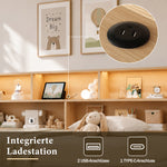 Upholstered Daybed, Extendable with 2 Drawers & USB, Grey Velvet
