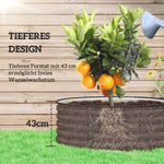 Raised Bed, Steel, 120x120x43cm, Steel