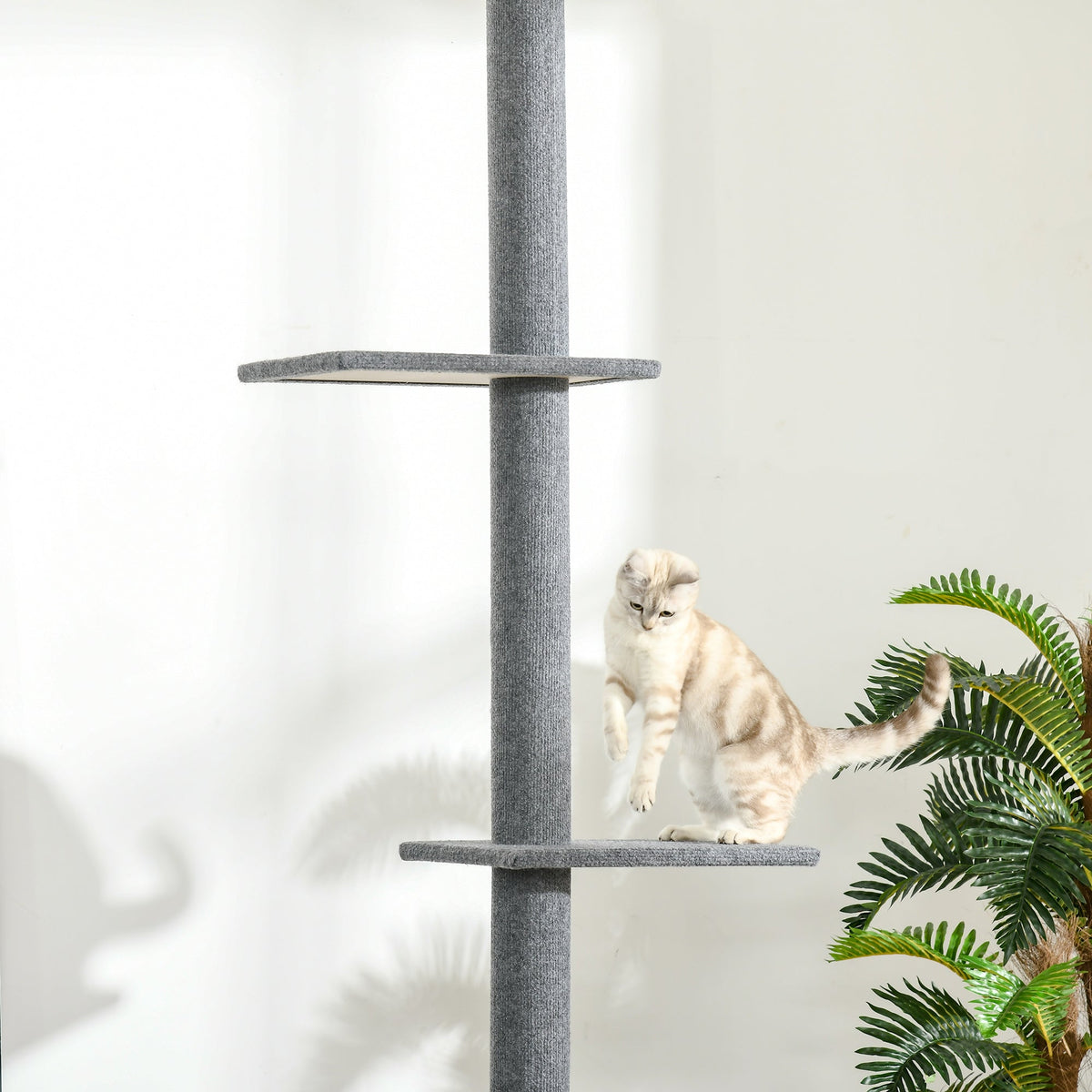 Cat Tree, Height-Adjustable Ceiling-High Climbing, Gray