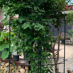 Garden Trellis, 2 Pack Climbing Plants, Metal