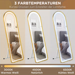 Full-Length Mirror, Dimmable LED, Wall & Standing, Touch Switch, Gold