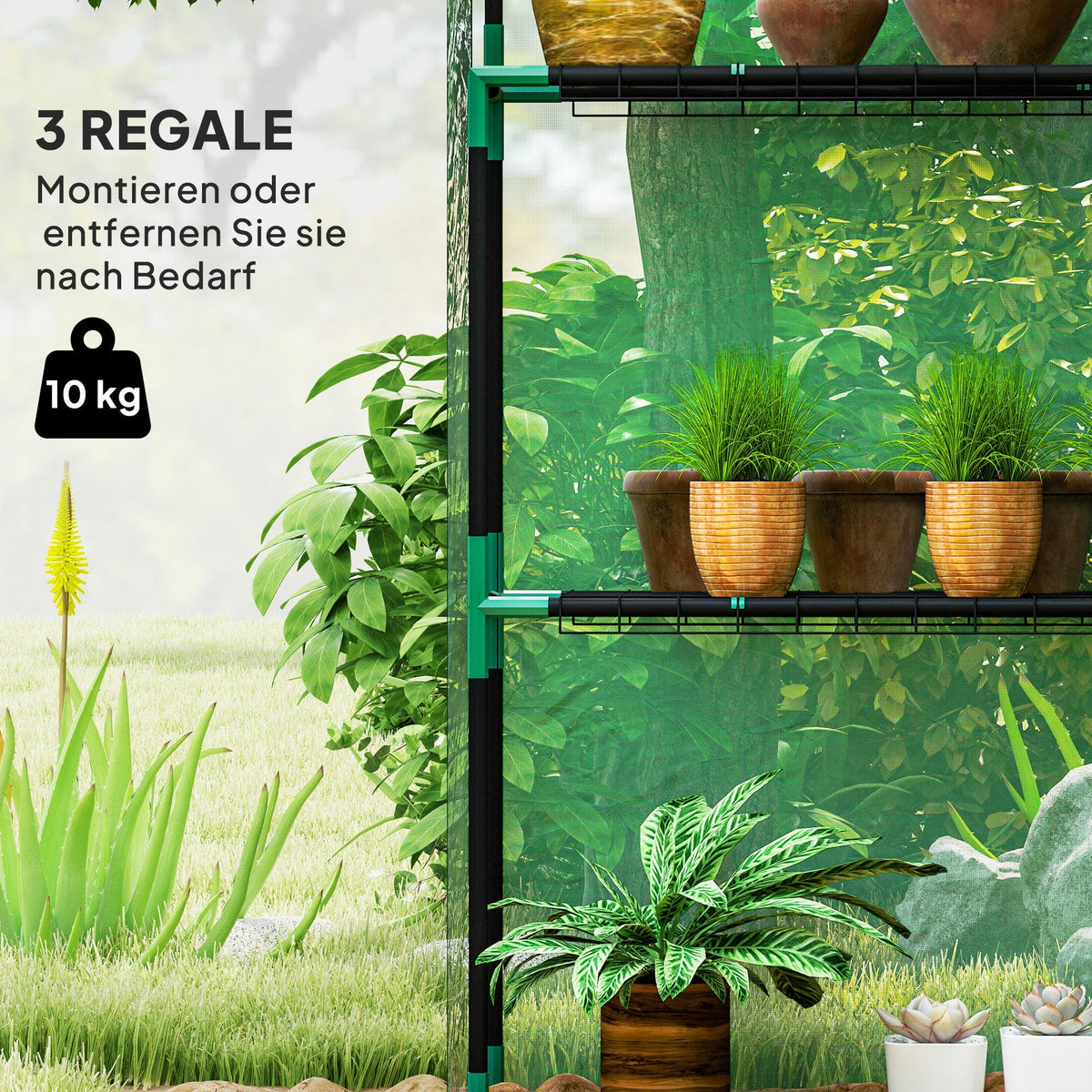 Greenhouse, Roller Door Window Shelves, Steel