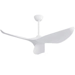 Ceiling Fan 38-inch DC Motor Remote Control Indoor/Outdoor ABS