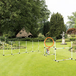 3-Piece Dog Agility Set, Training, Carrying Bag, Plastic White Yellow