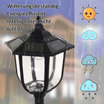 Solar Garden Light LED Lantern 30/60 Lumens, Black Plastic
