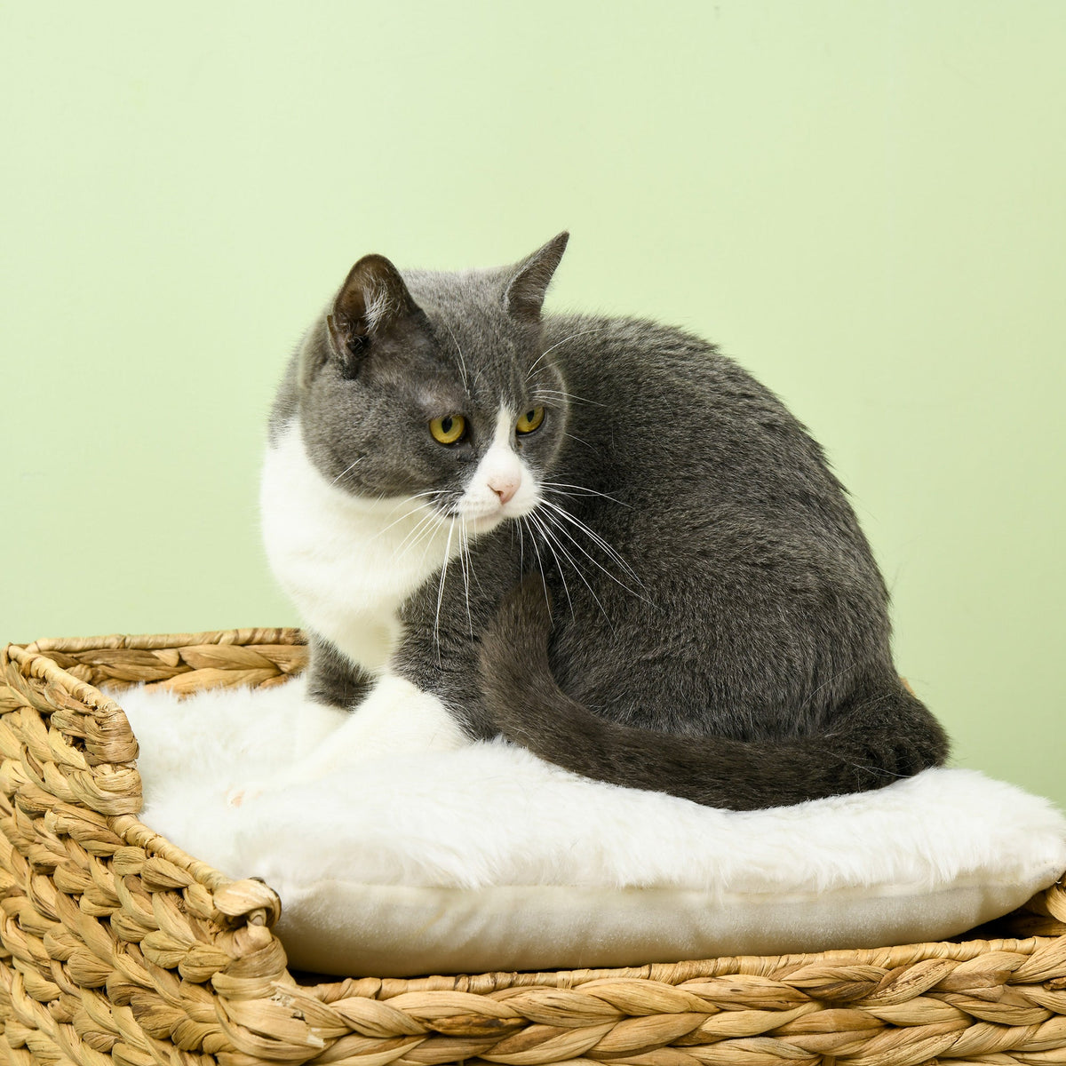 Rattan Cat Cave 2-Level Cushion, Water Hyacinth Brown