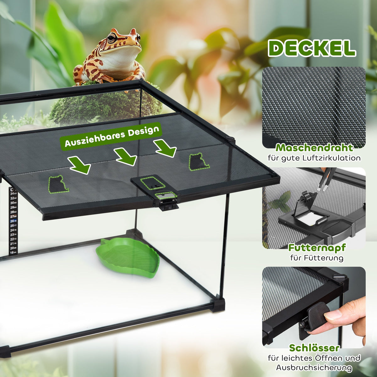 Terrarium, Glass Feeding Box for Reptiles, Metal