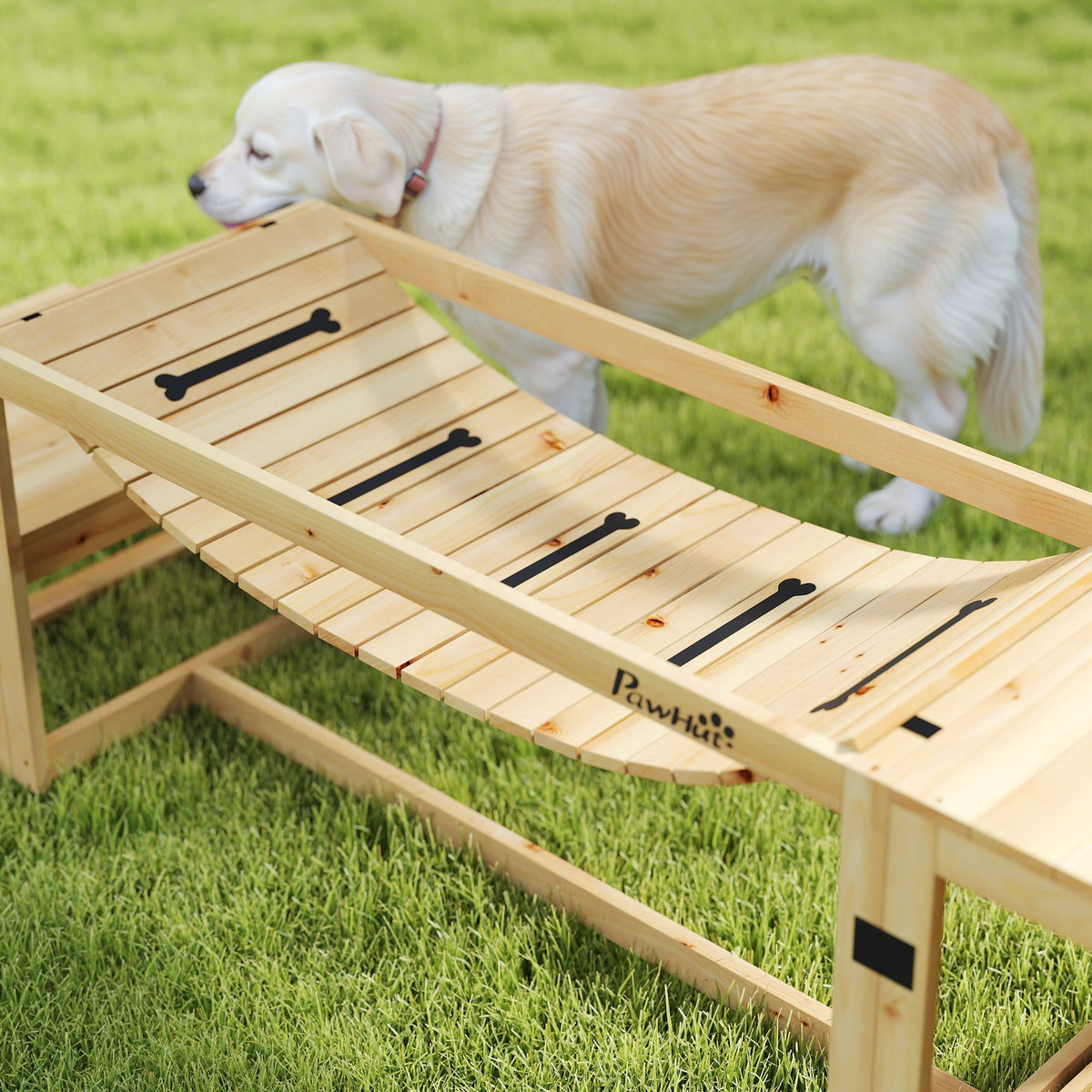 Dog Agility Set, 4-piece training, Fir Wood