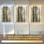 LED Bathroom Mirror 60x80cm Dimmable 3 Light Modes Frameless Glass