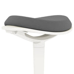 Pendulum Stool, Ergonomic Office Swivel Chair, Mesh Gray