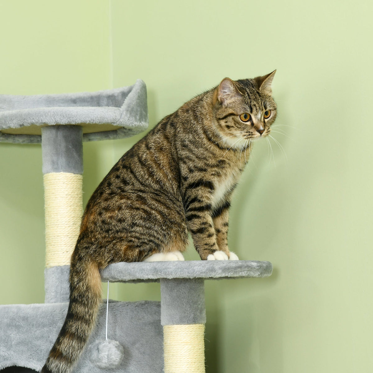 Cat Tree, Large 200 cm XXL with Cat Caves, Hammocks, Light Grey